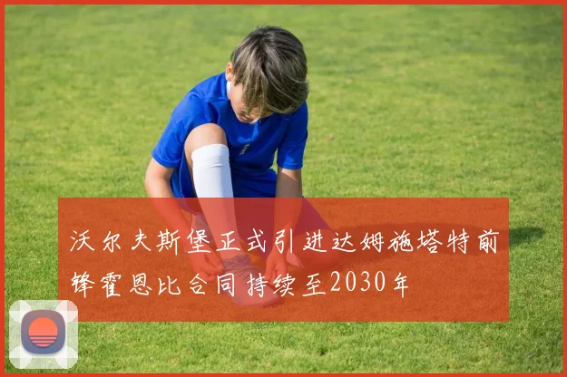 沃尔夫斯堡正式引进达姆施塔特前锋霍恩比合同持续至2030年